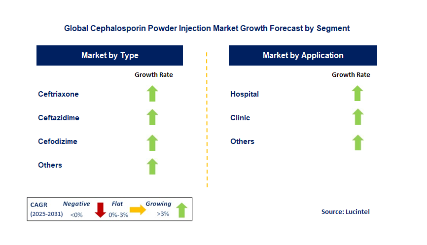 Cephalosporin Powder Injection Market by Segment